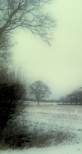 In the bleak mid winter