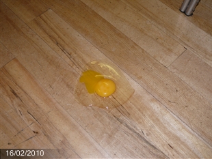 p1080080_fs.jpg